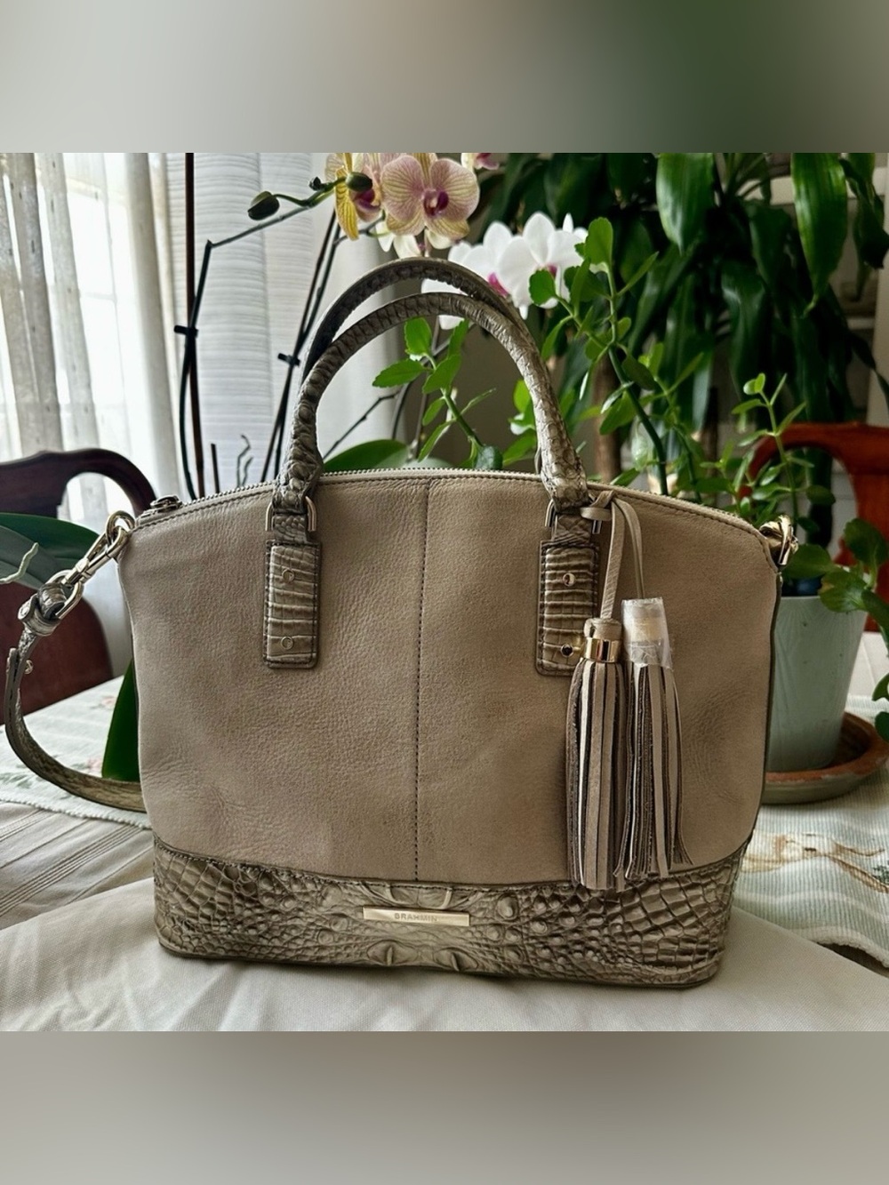 TRADE FOR ROBIN $398 BRAHMIN - Picture 2 of 9